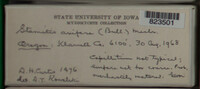 Image Associated With the Occurence